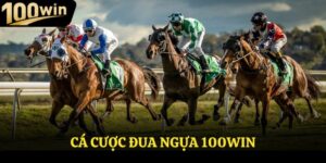 Cá Cược Đua Ngựa - Sàn Đấu Kịch Tích Nhận Thưởng Cao