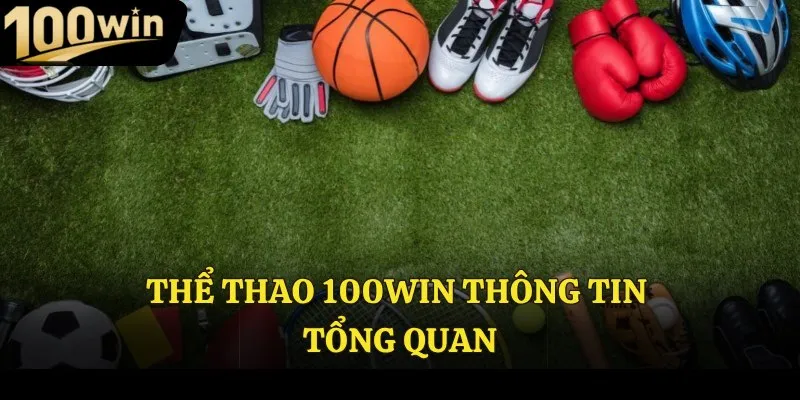 Thể thao 100win thông tin tổng quan